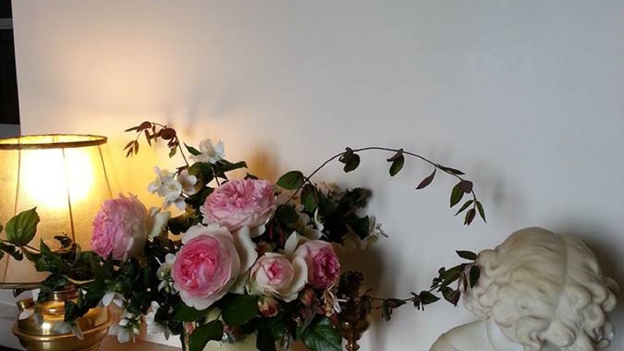 Photo of Others in Saint-Haon-le-Chatel