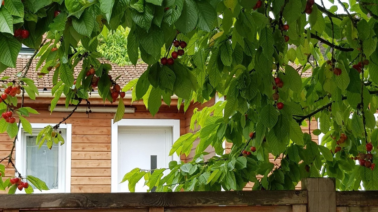 Photo of Outdoor in Longueville