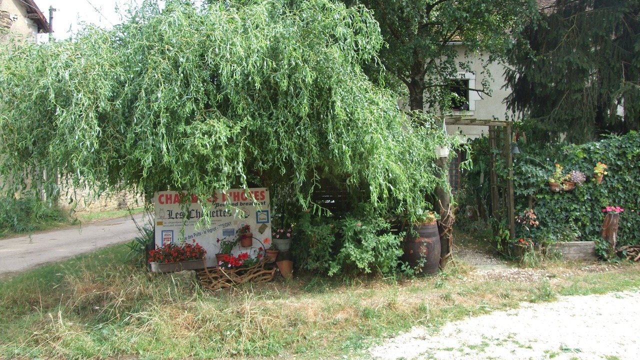 Photo of Outdoor in Treigny