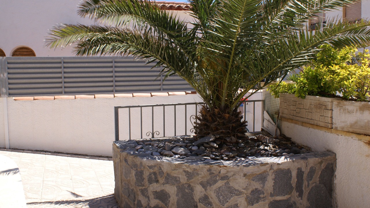 Photo of Outdoor in La Ribera
