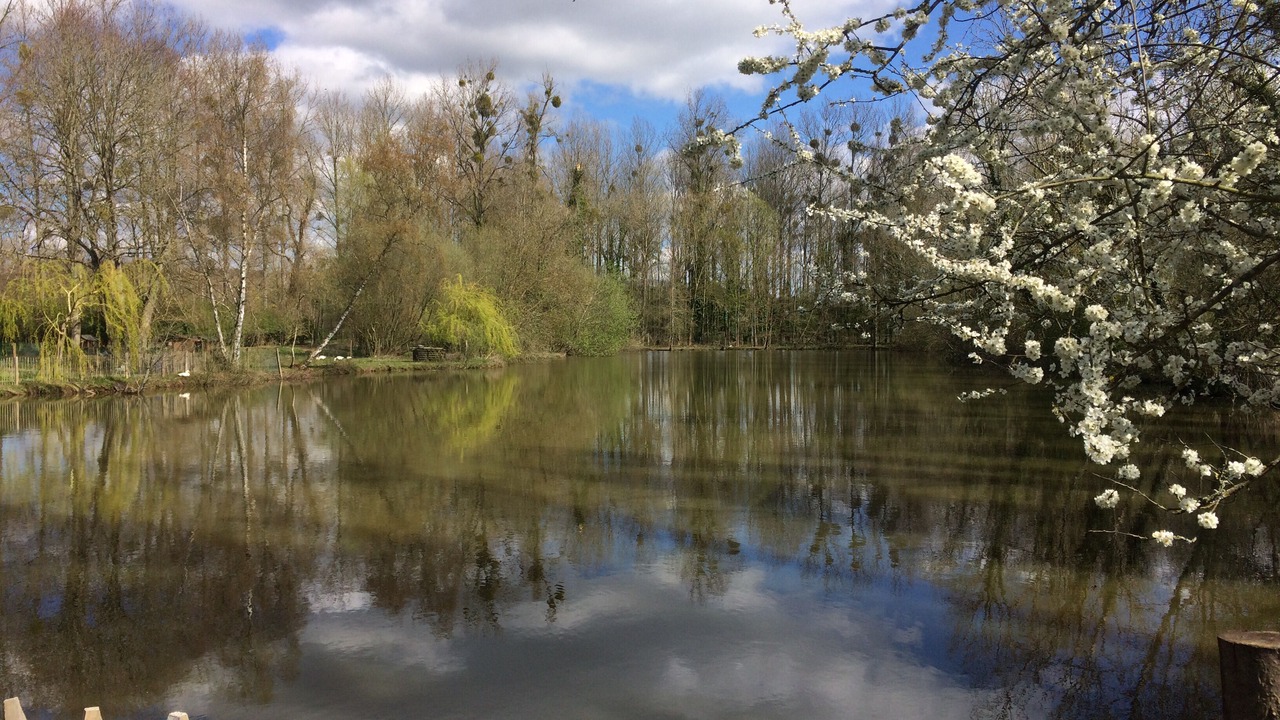 Photo of Outdoor in Maintenay