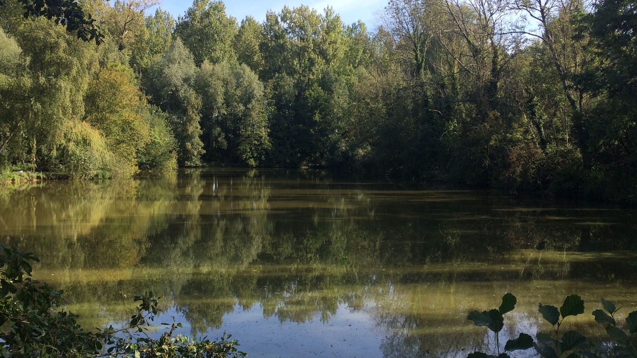 Photo of Outdoor in Maintenay