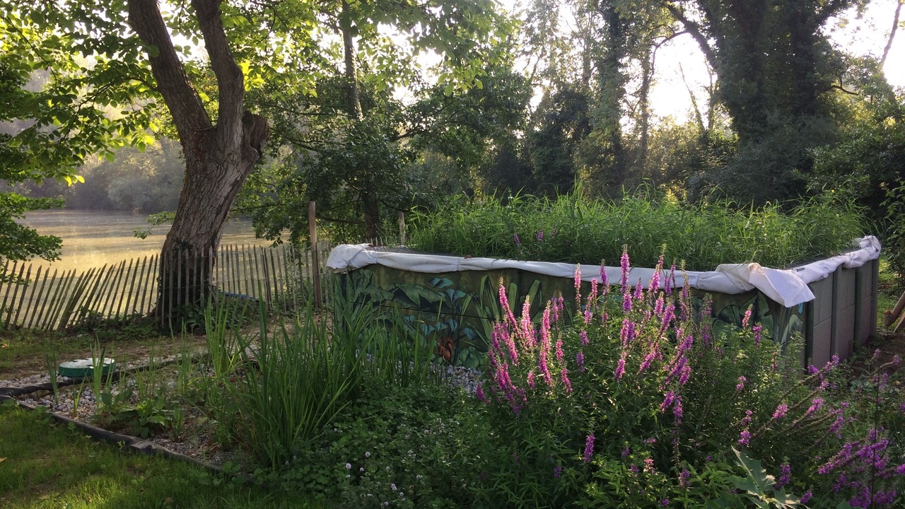Photo of Outdoor in Maintenay