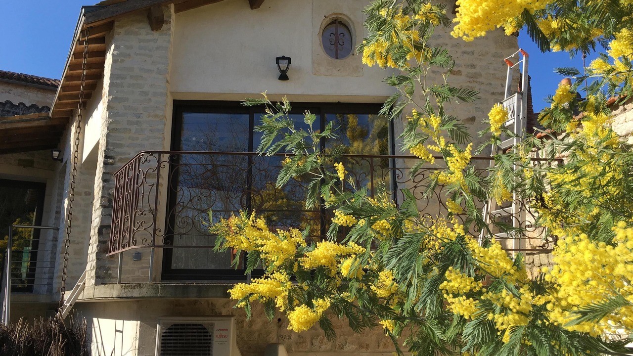 Photo of Outdoor in Fontenay-le-Comte