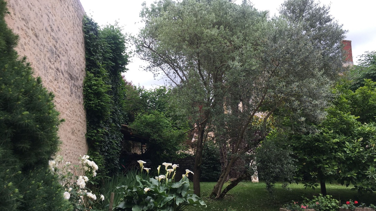 Photo of Outdoor in Fontenay-le-Comte