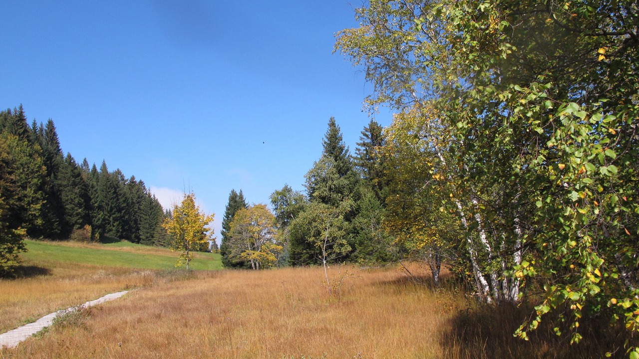 Photo of Outdoor in Blonay
