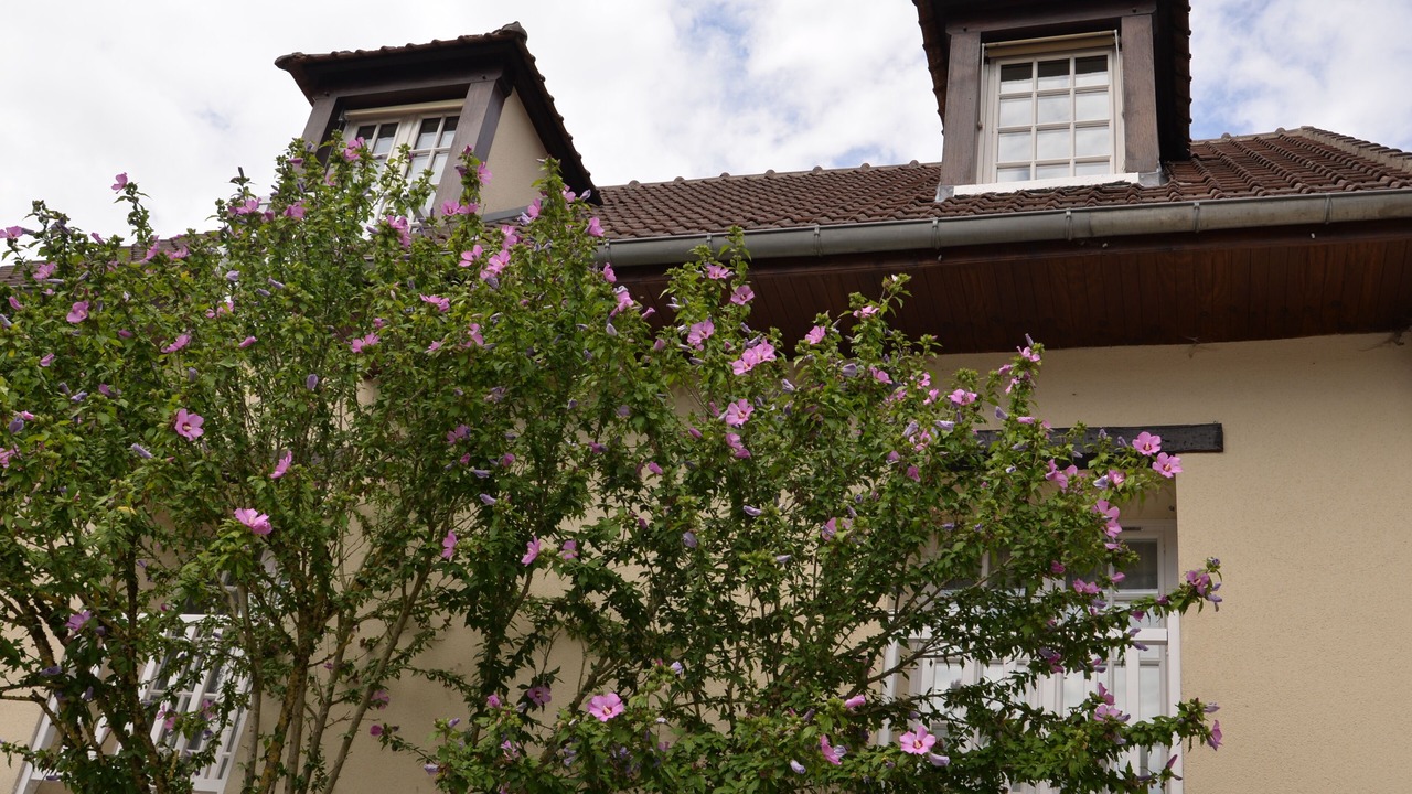 Photo of Outdoor in Janvry