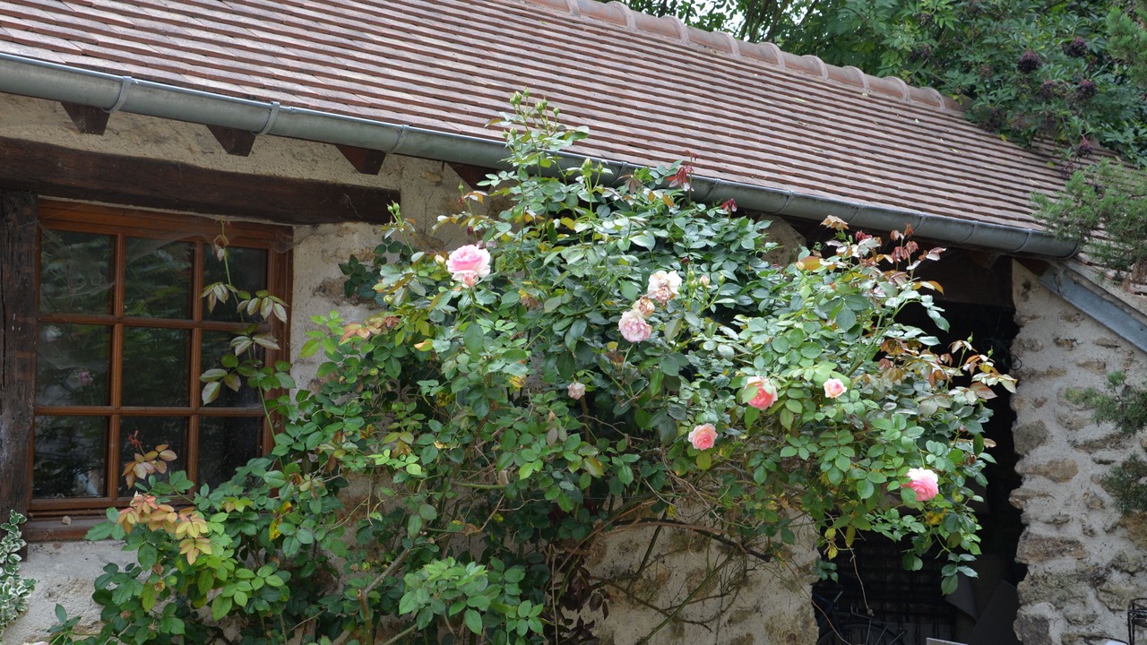 Photo of Outdoor in Janvry