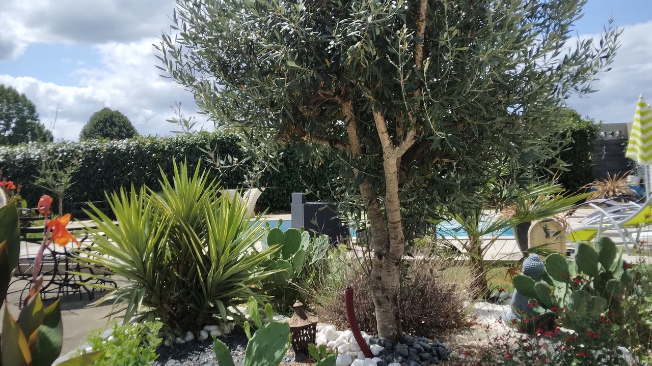 Photo of Outdoor in Seyresse