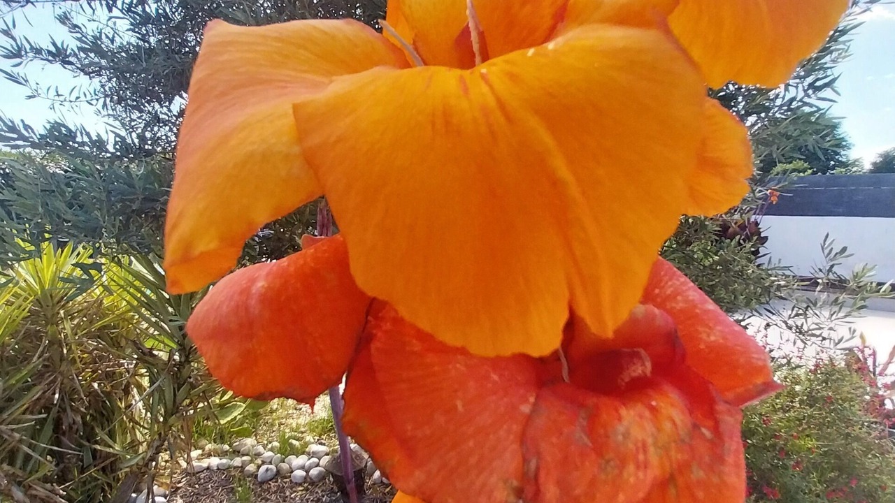 Photo of Outdoor in Seyresse