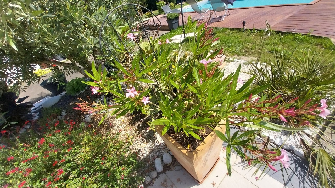 Photo of Outdoor in Seyresse