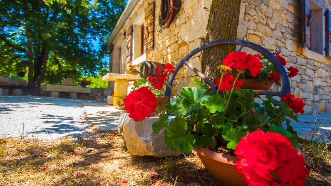 Photo of Outdoor in Nova Vas