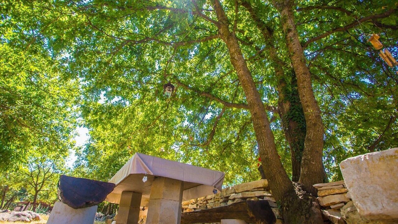 Photo of Outdoor in Nova Vas