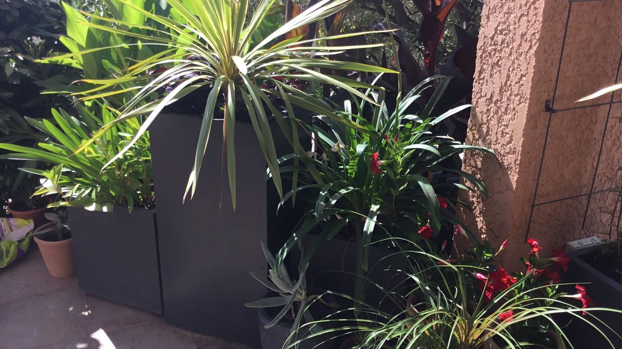 Photo of Outdoor in Fitou