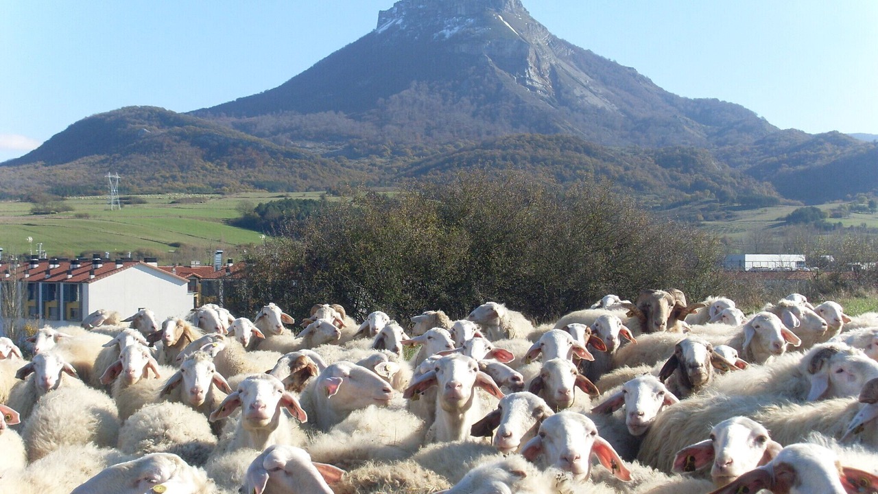 Photo of Others in Arbizu