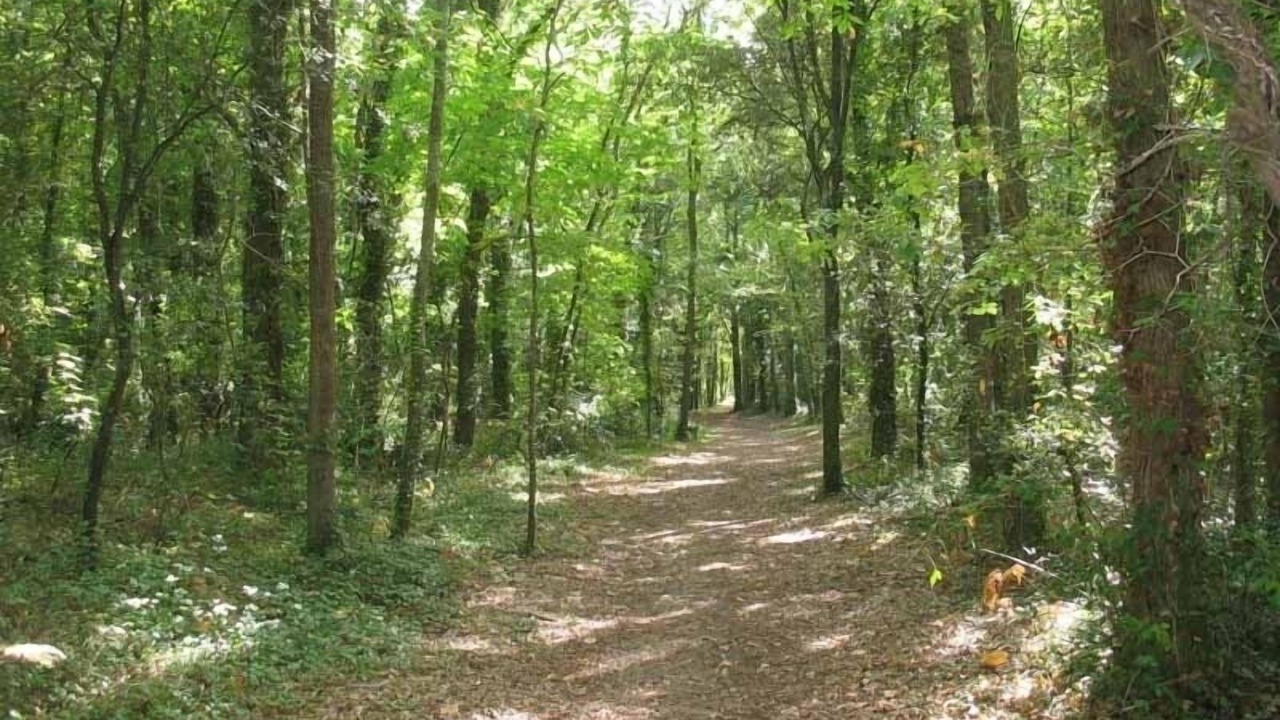 Photo of Outdoor in Saint-Vincent-sur-Jard