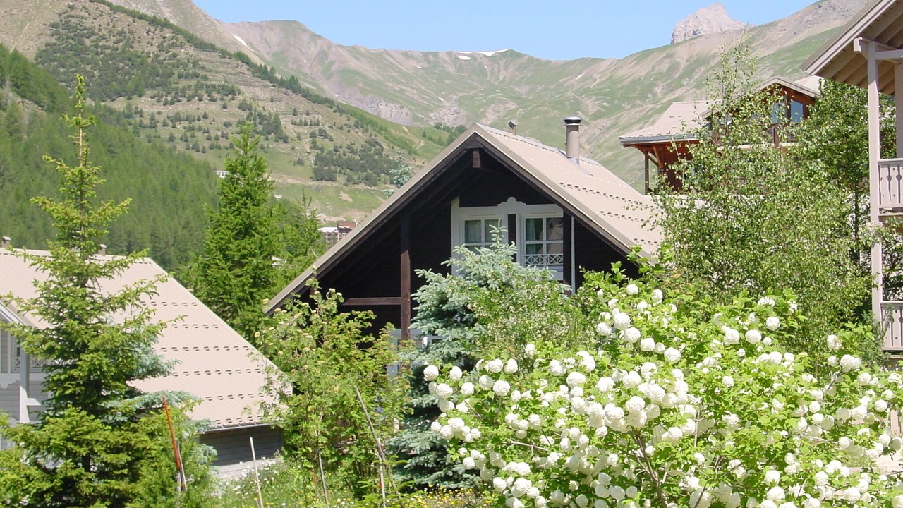 Photo of Others in Allos