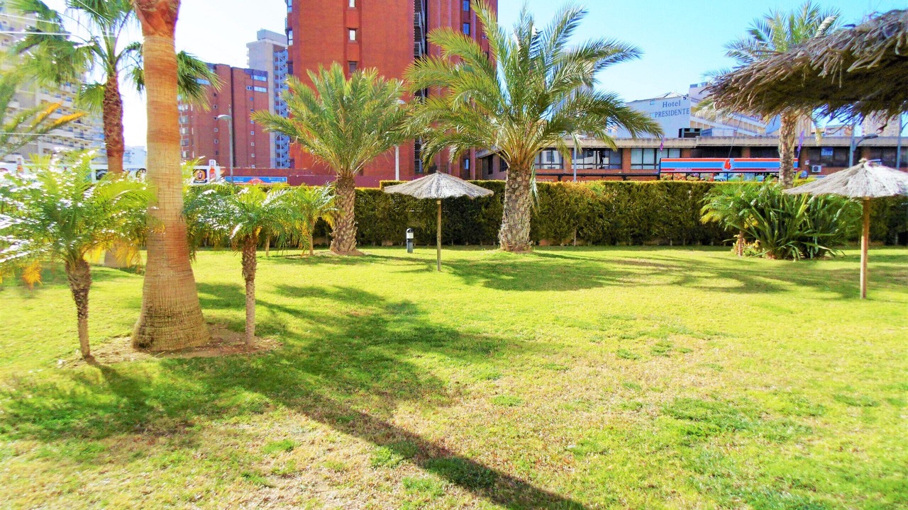 Photo of Outdoor in Benidorm