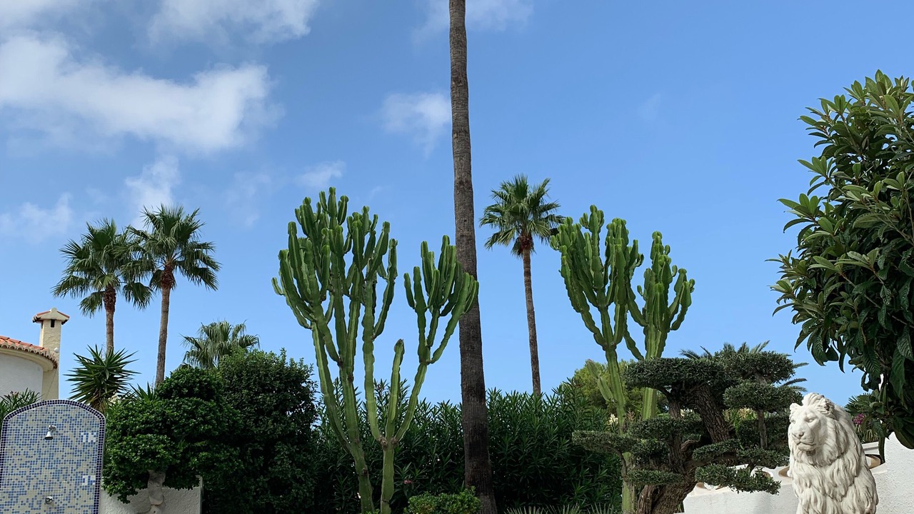 Photo of Outdoor in Denia