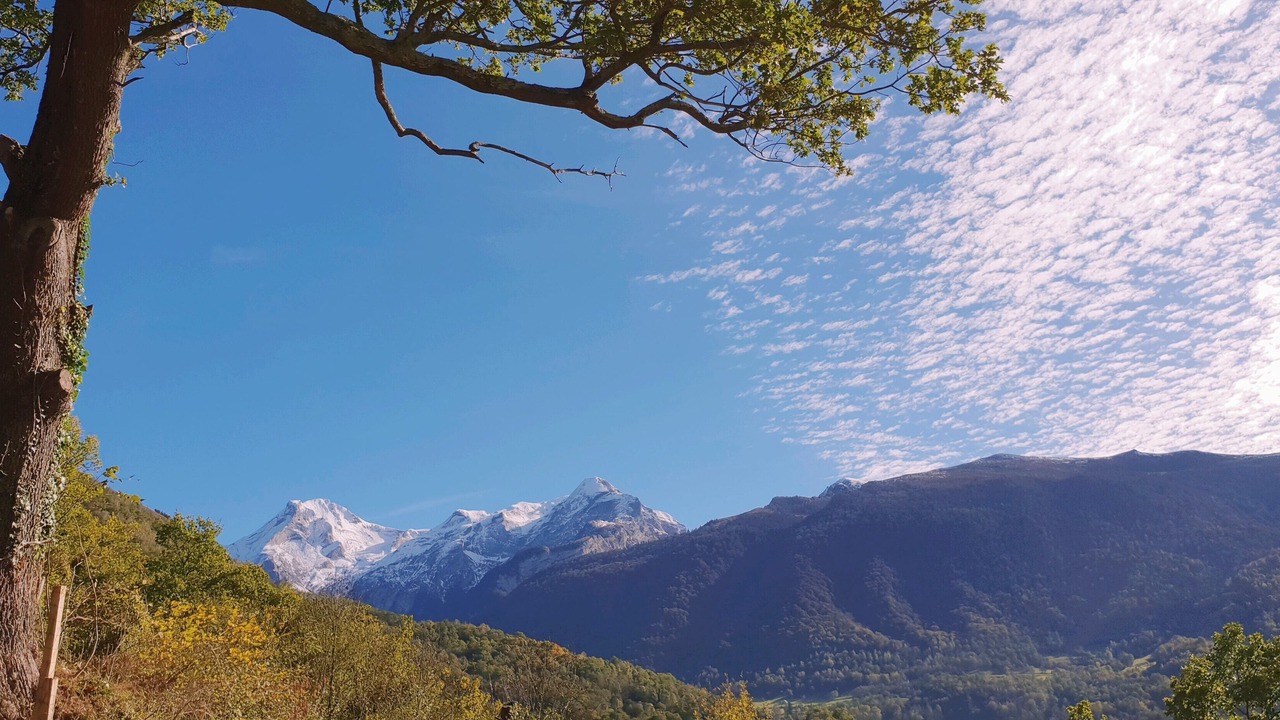 Photo of Outdoor in Louvie-Soubiron