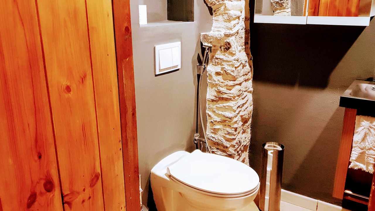 Photo of Bathroom in Louvie-Soubiron