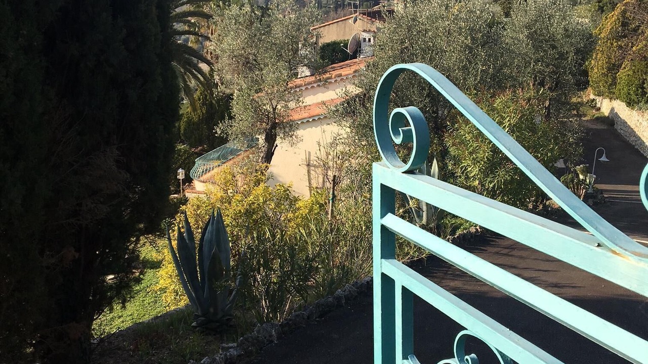 Photo of Others in Speracedes