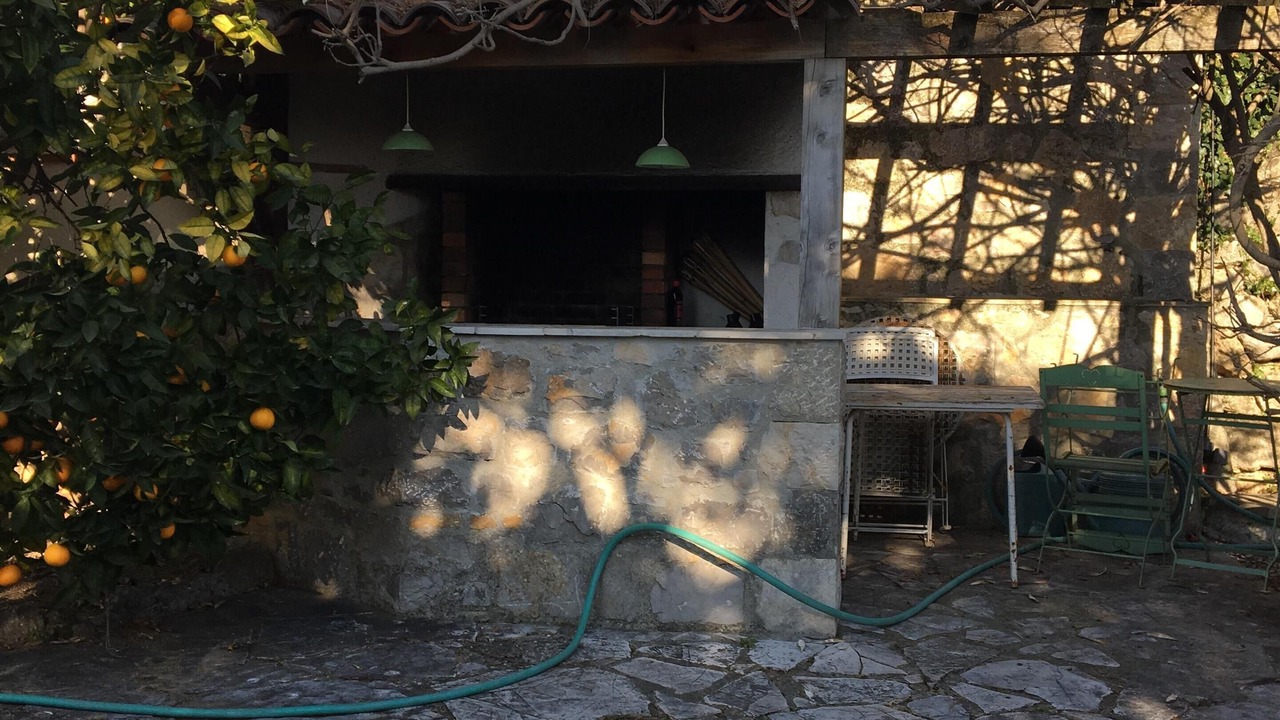 Photo of Others in Speracedes