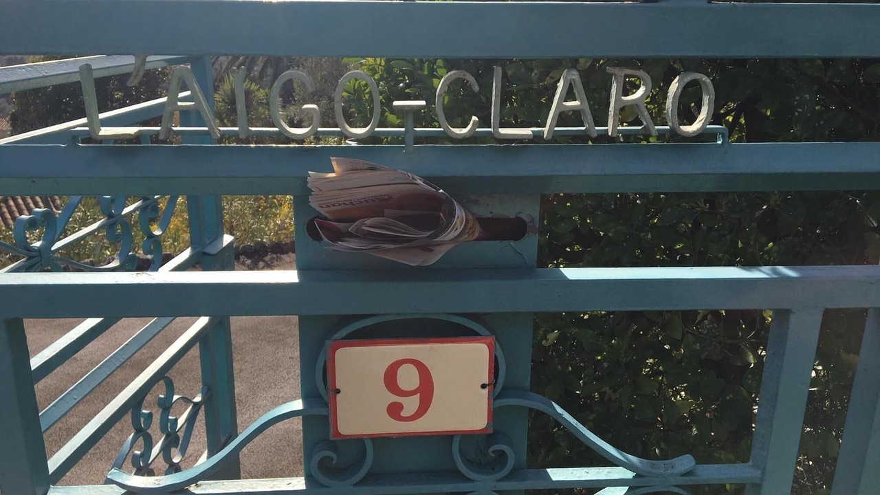 Photo of Others in Speracedes