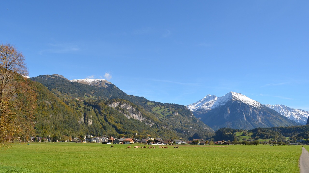 Photo of Others in Martisberg