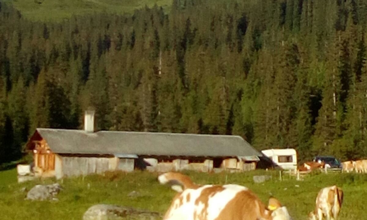 Photo of Outdoor in Grindelwald