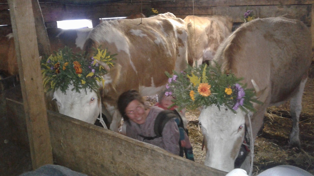 Photo of Others in Grindelwald