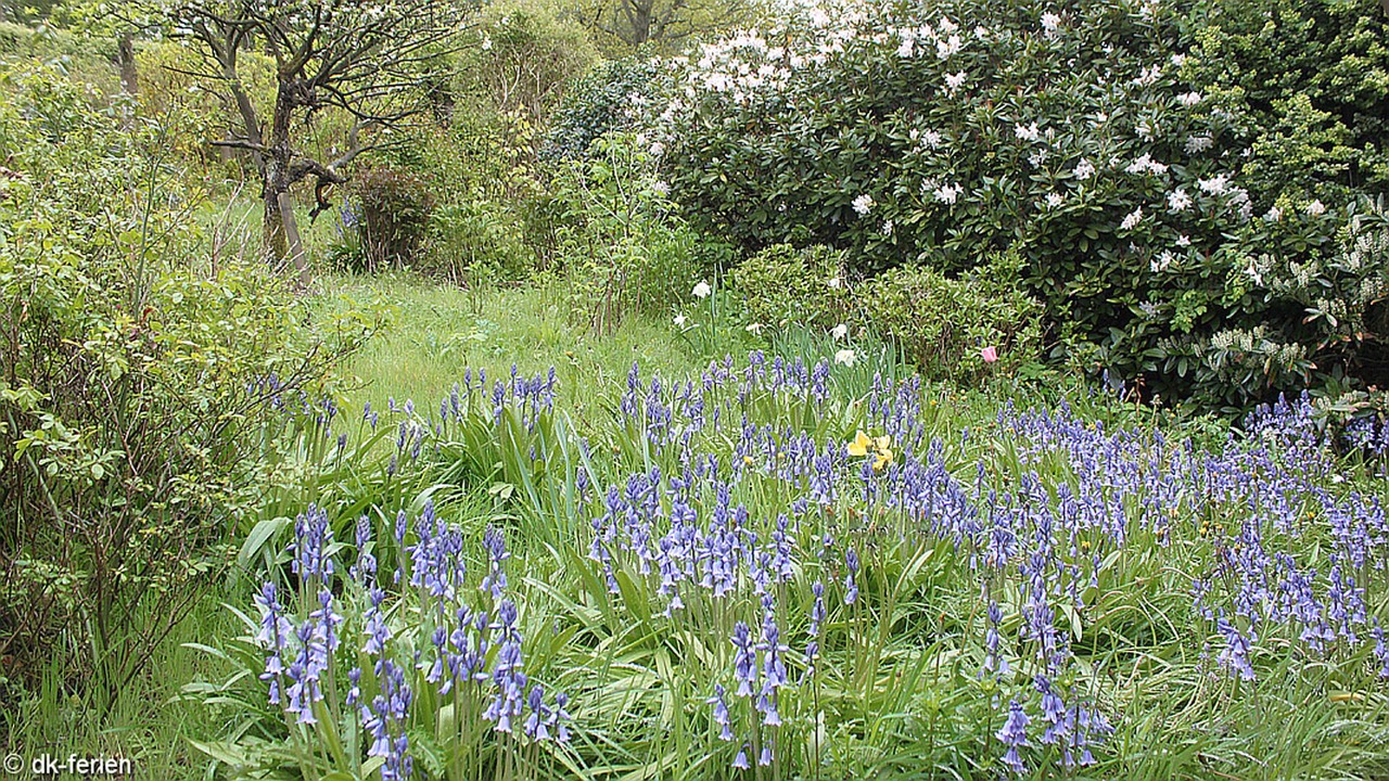 Photo of Outdoor in Bjert