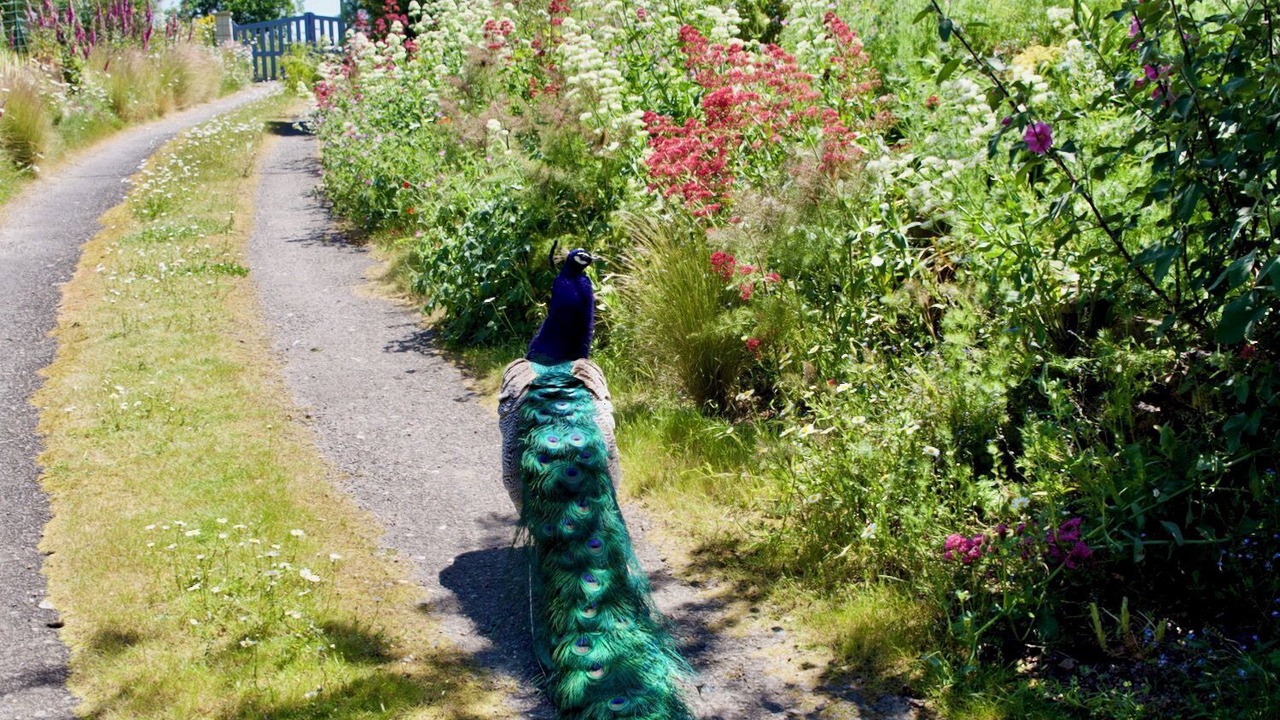 Photo of Outdoor in Iffendic