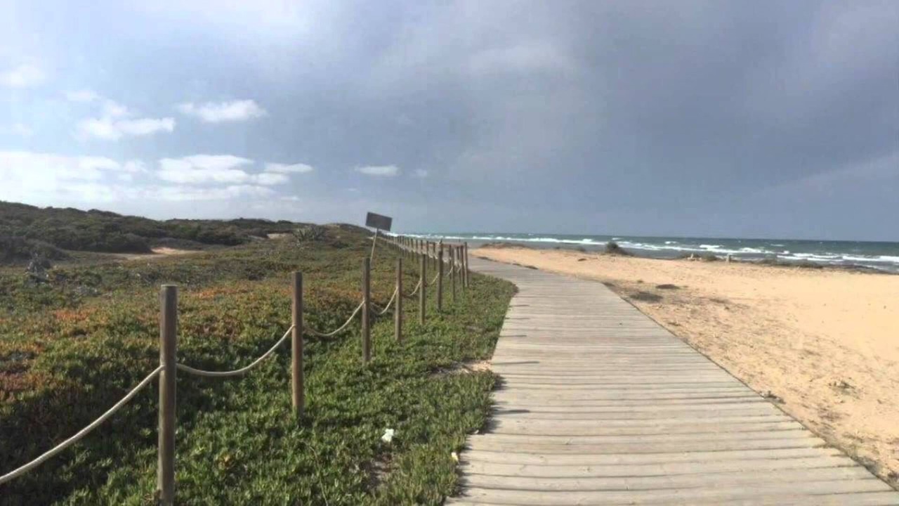 Photo of Others in La Mata