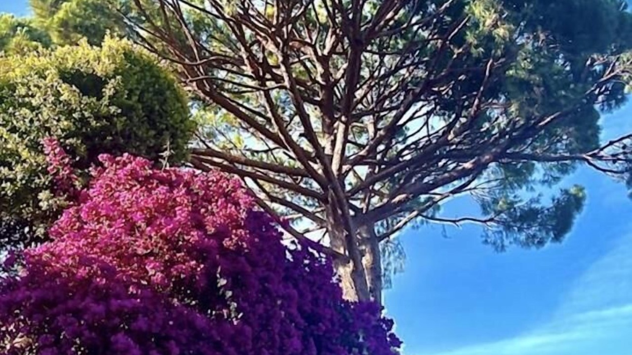 Photo of Others in Tossa de Mar