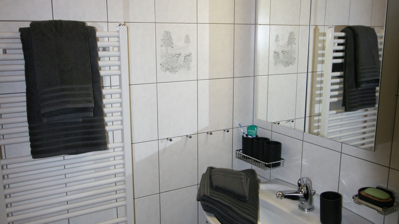 Photo of Bathroom in Fiesch