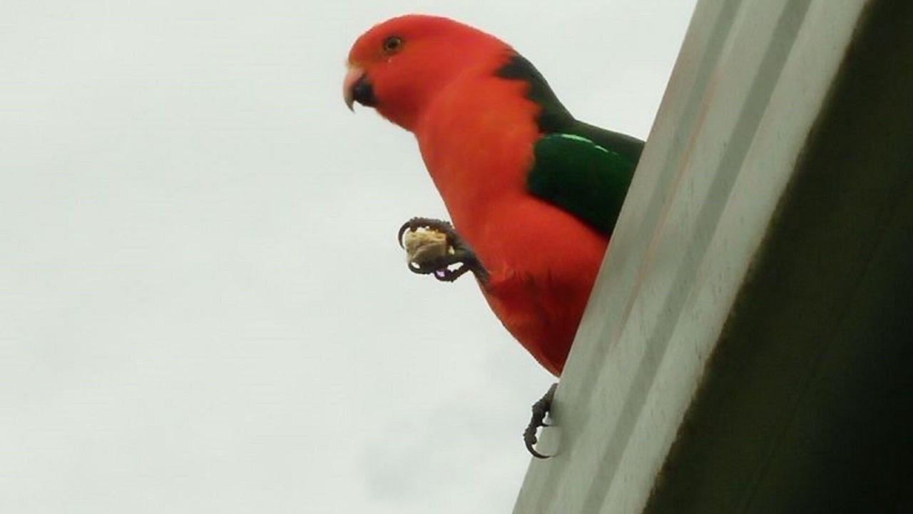 Photo of Others in Eildon