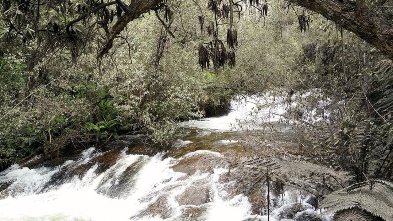 Photo of Outdoor in Eildon