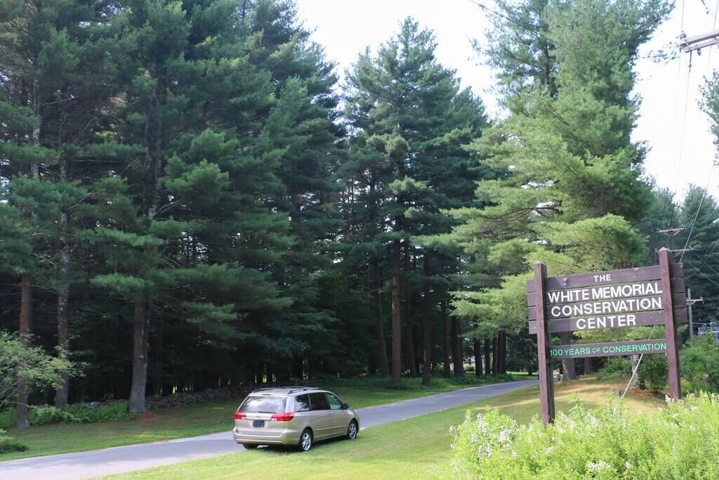 Photo of Others in Lakeside