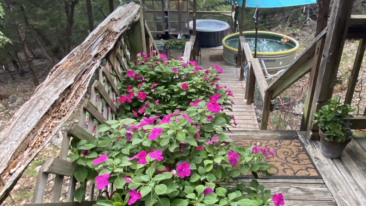 Photo of Outdoor in Canyon Lake
