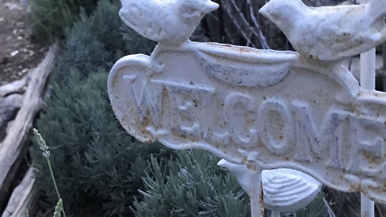 Photo of Outdoor in Canyon Lake