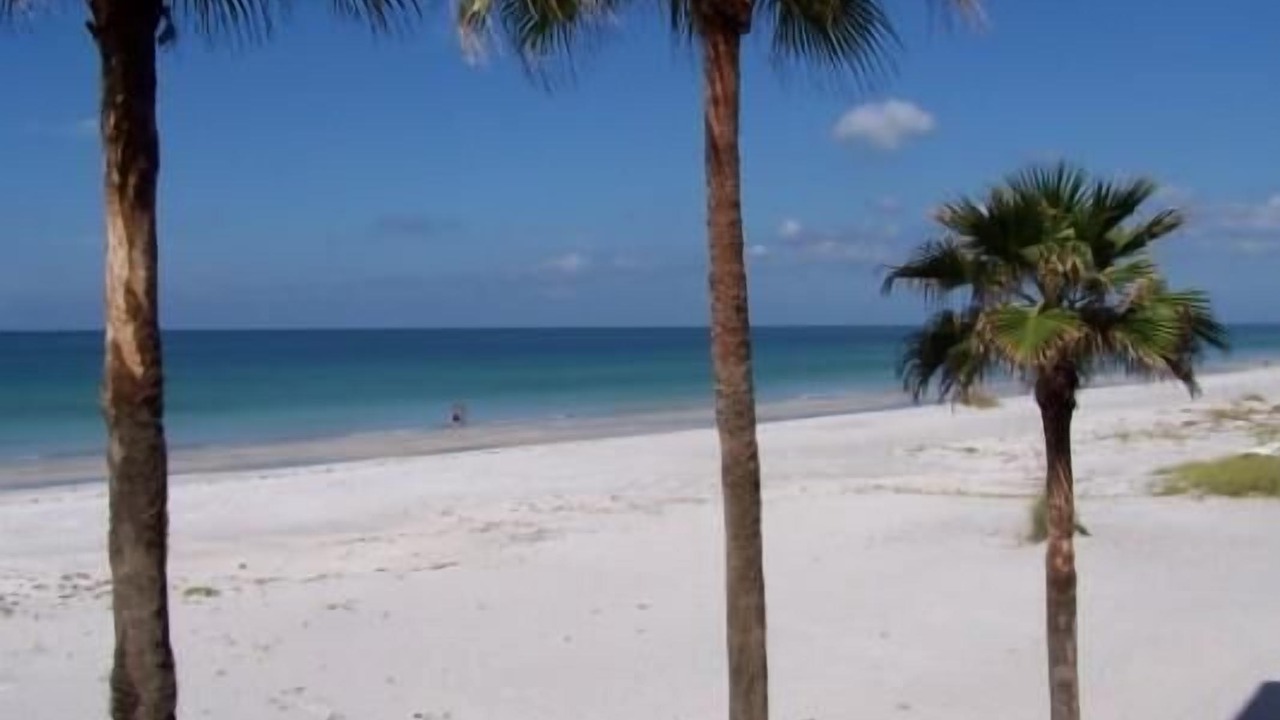 Photo of Others in Longboat Key