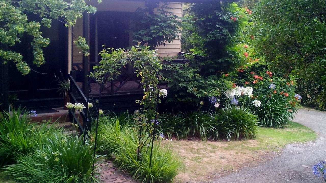 Photo of Outdoor in Dixons Creek