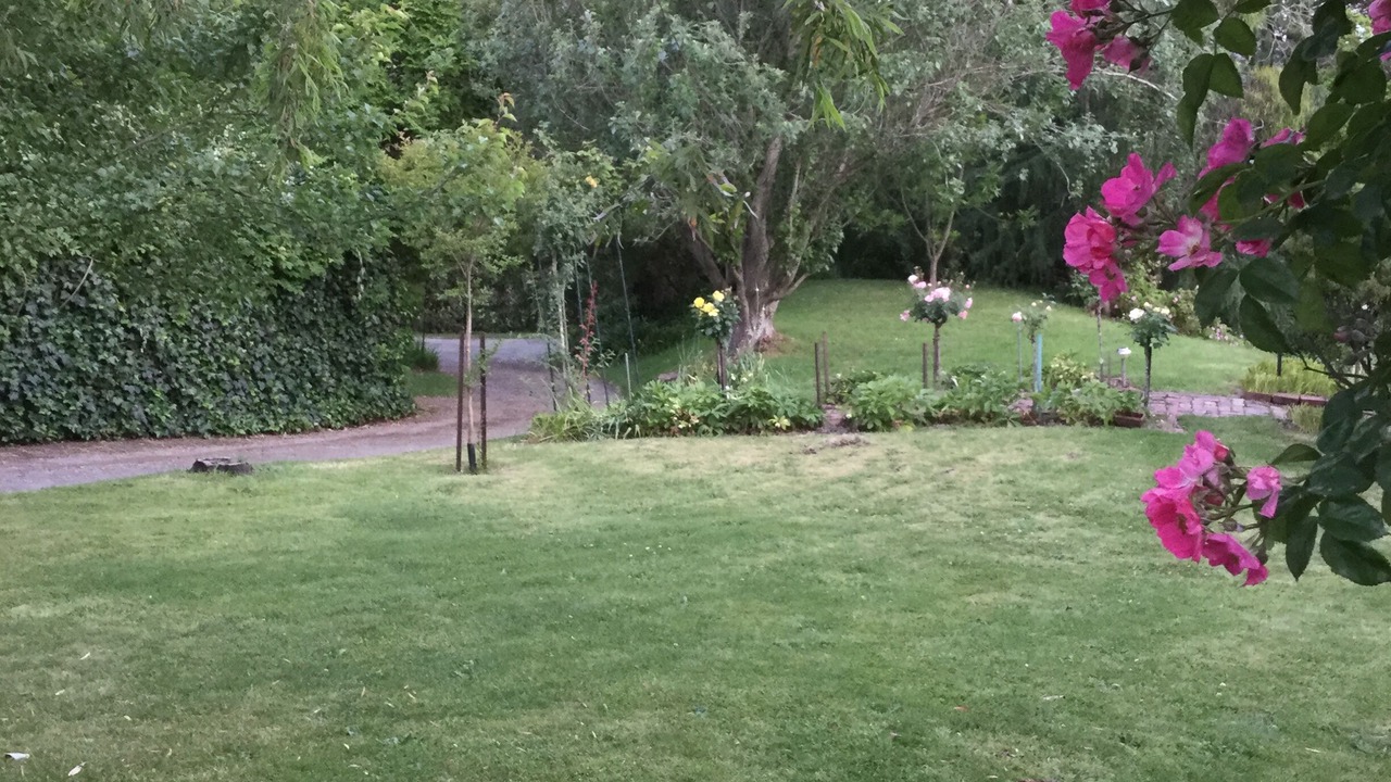 Photo of Outdoor in Dixons Creek