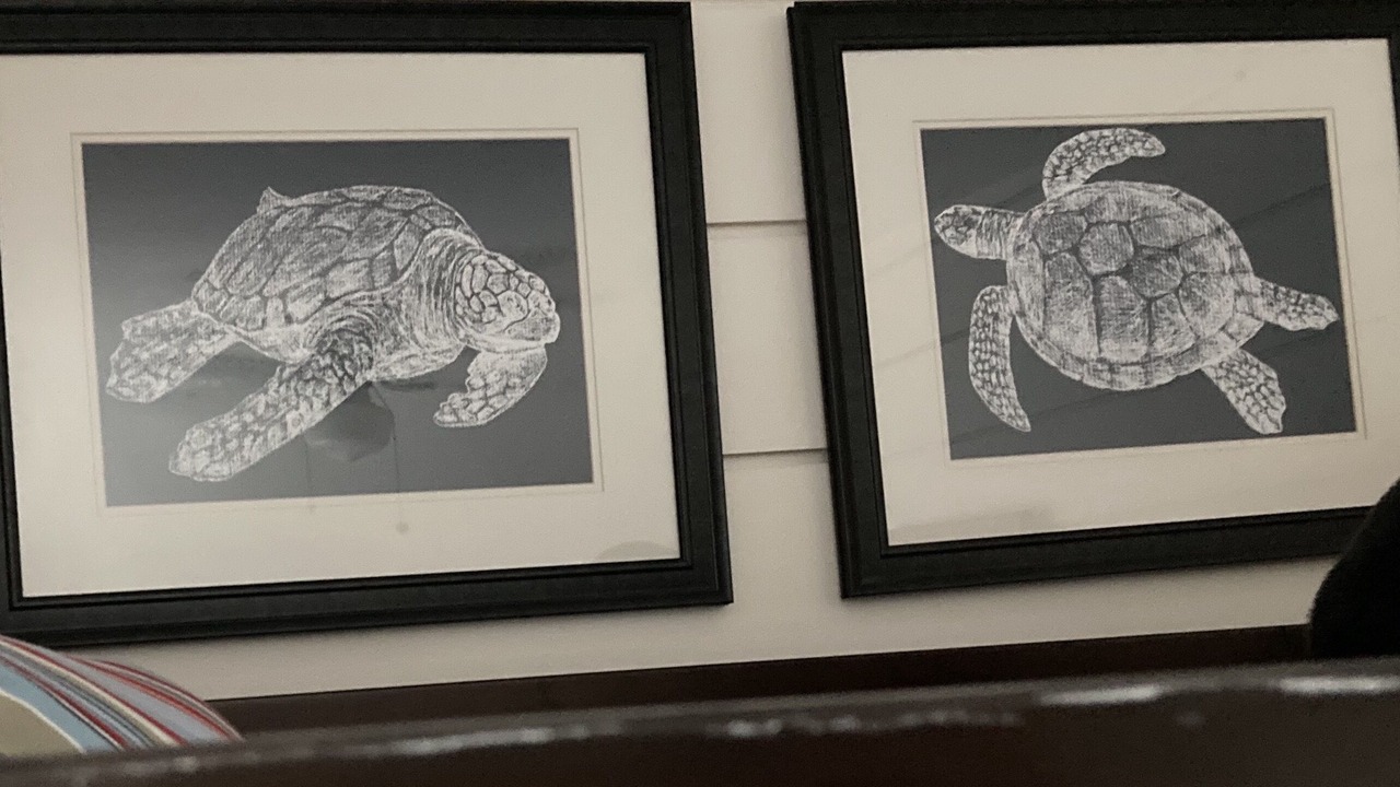 Photo of Others in Westport