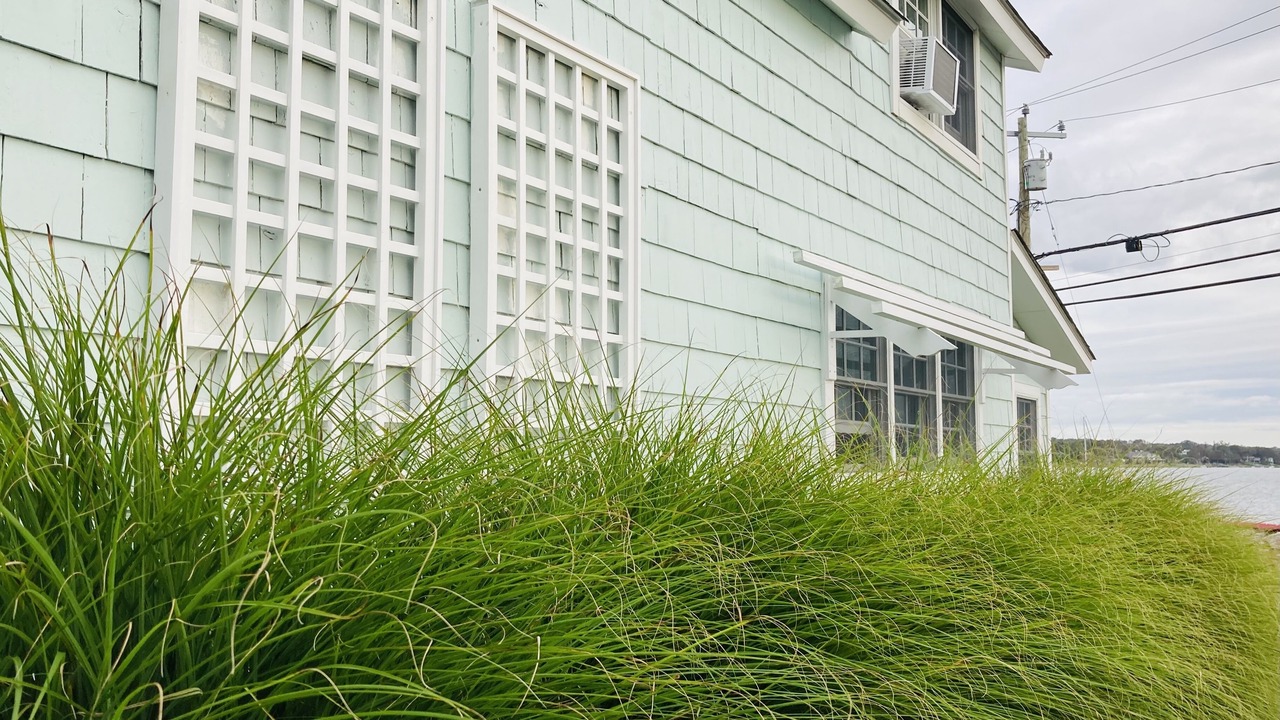 Photo of Outdoor in Westport