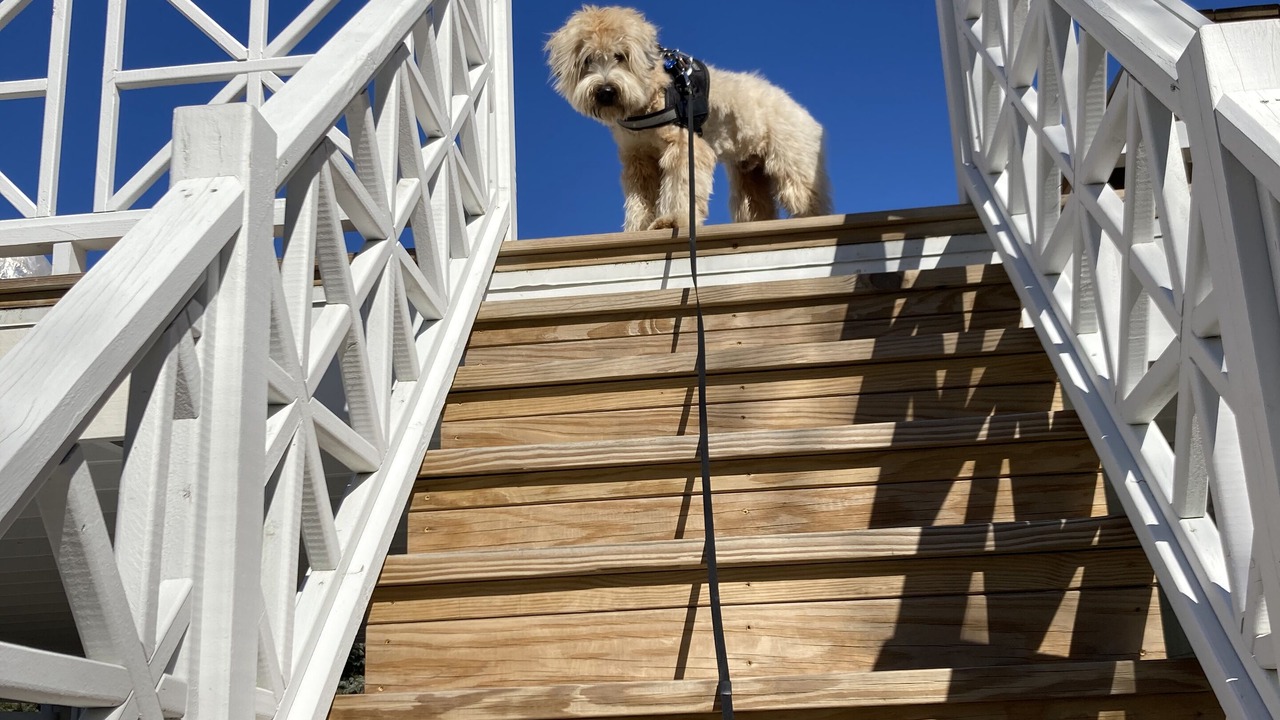 Photo of Others in Westport