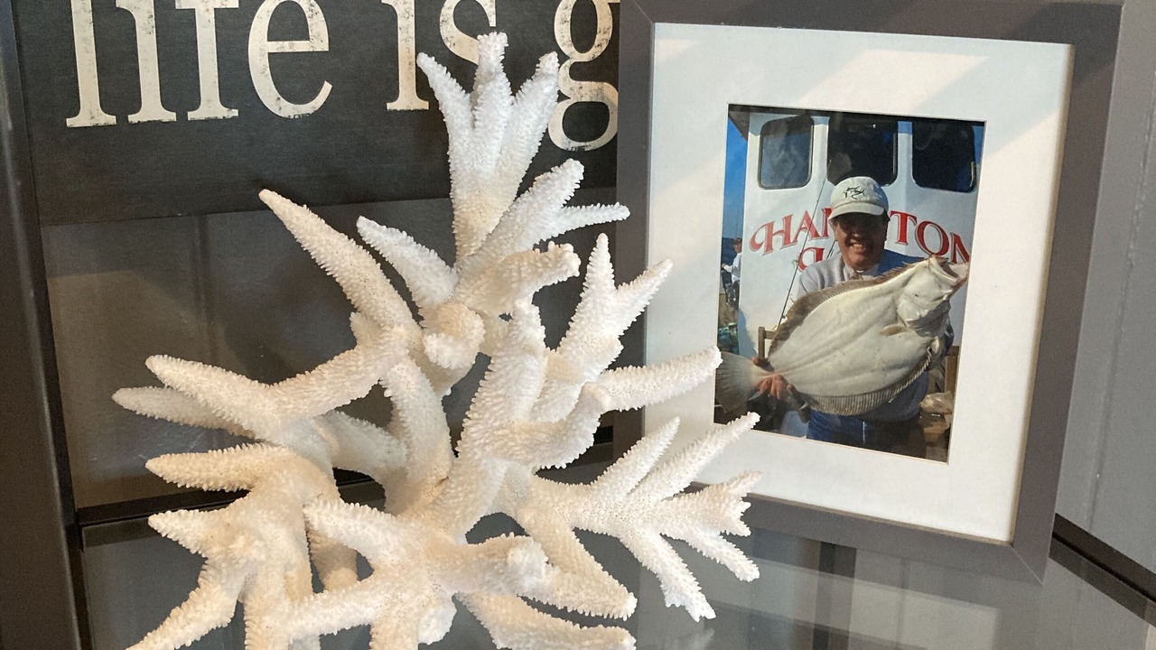 Photo of Others in Westport