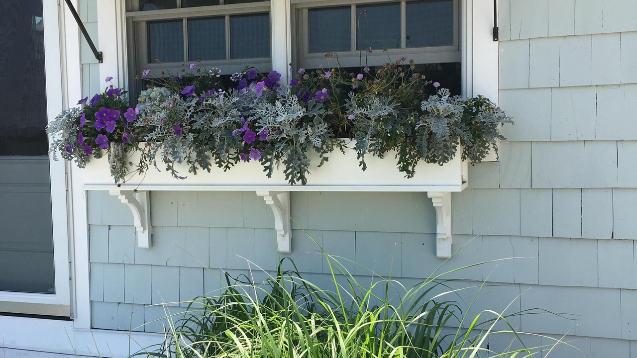 Photo of Outdoor in Westport