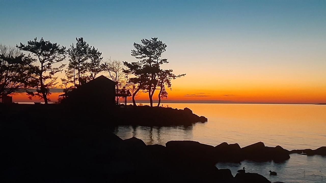 Photo of Others in Westport